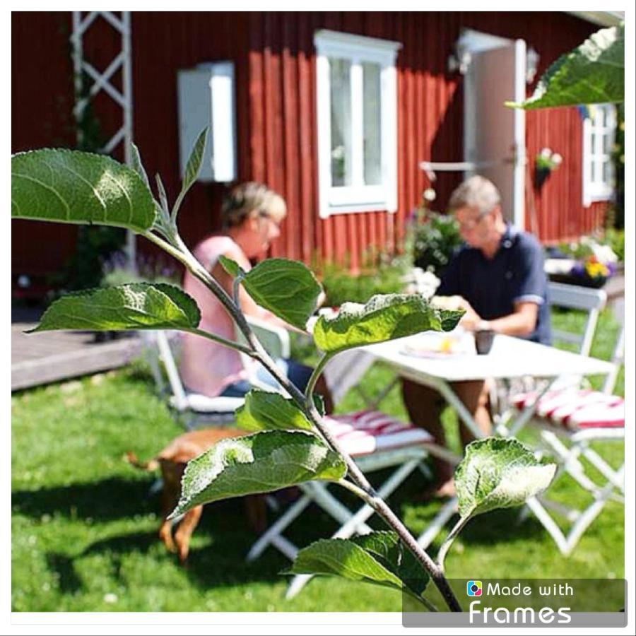 Lavendeltorpet Bed & Breakfast Haggum Dış mekan fotoğraf