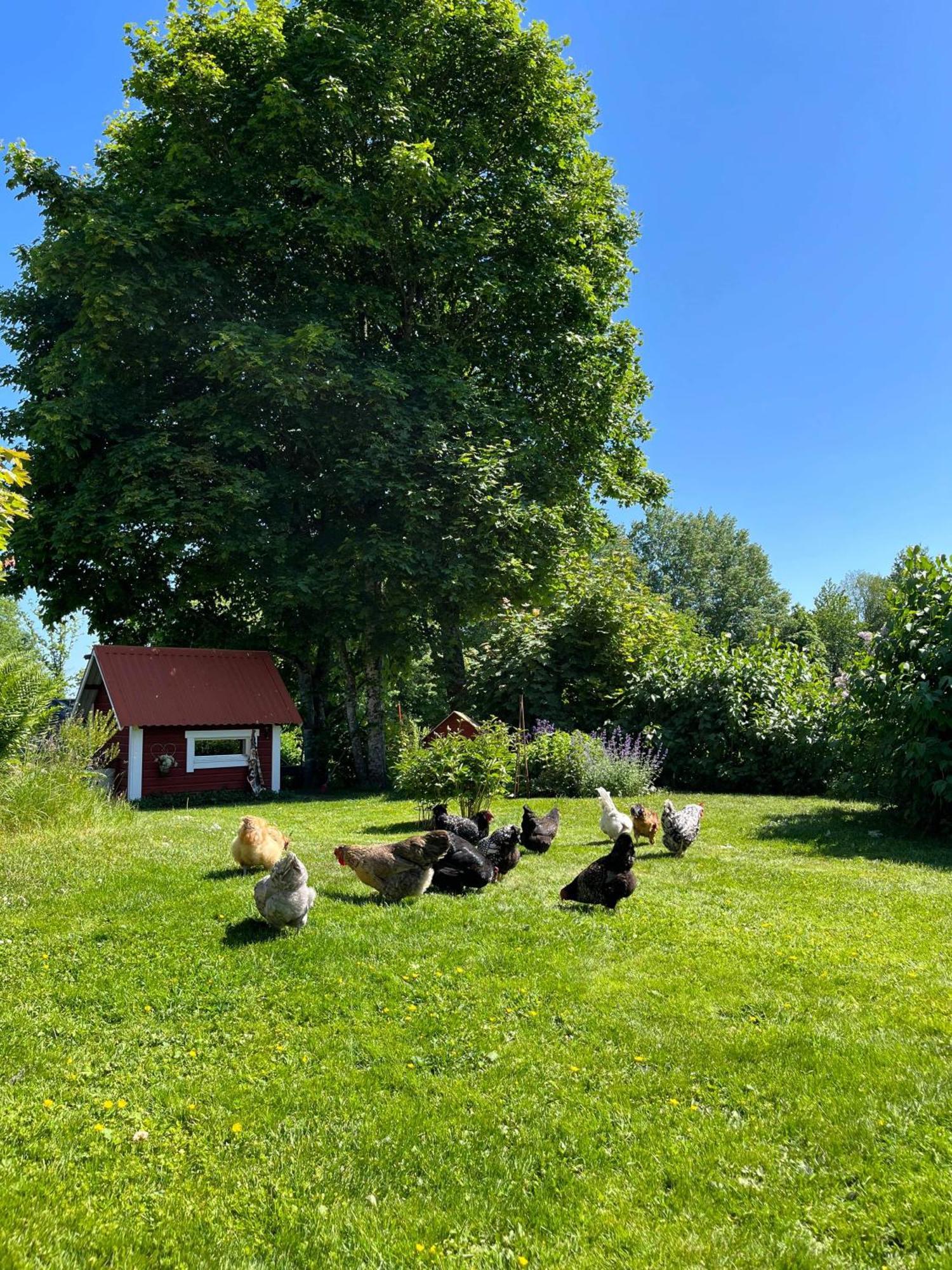 Lavendeltorpet Bed & Breakfast Haggum Dış mekan fotoğraf