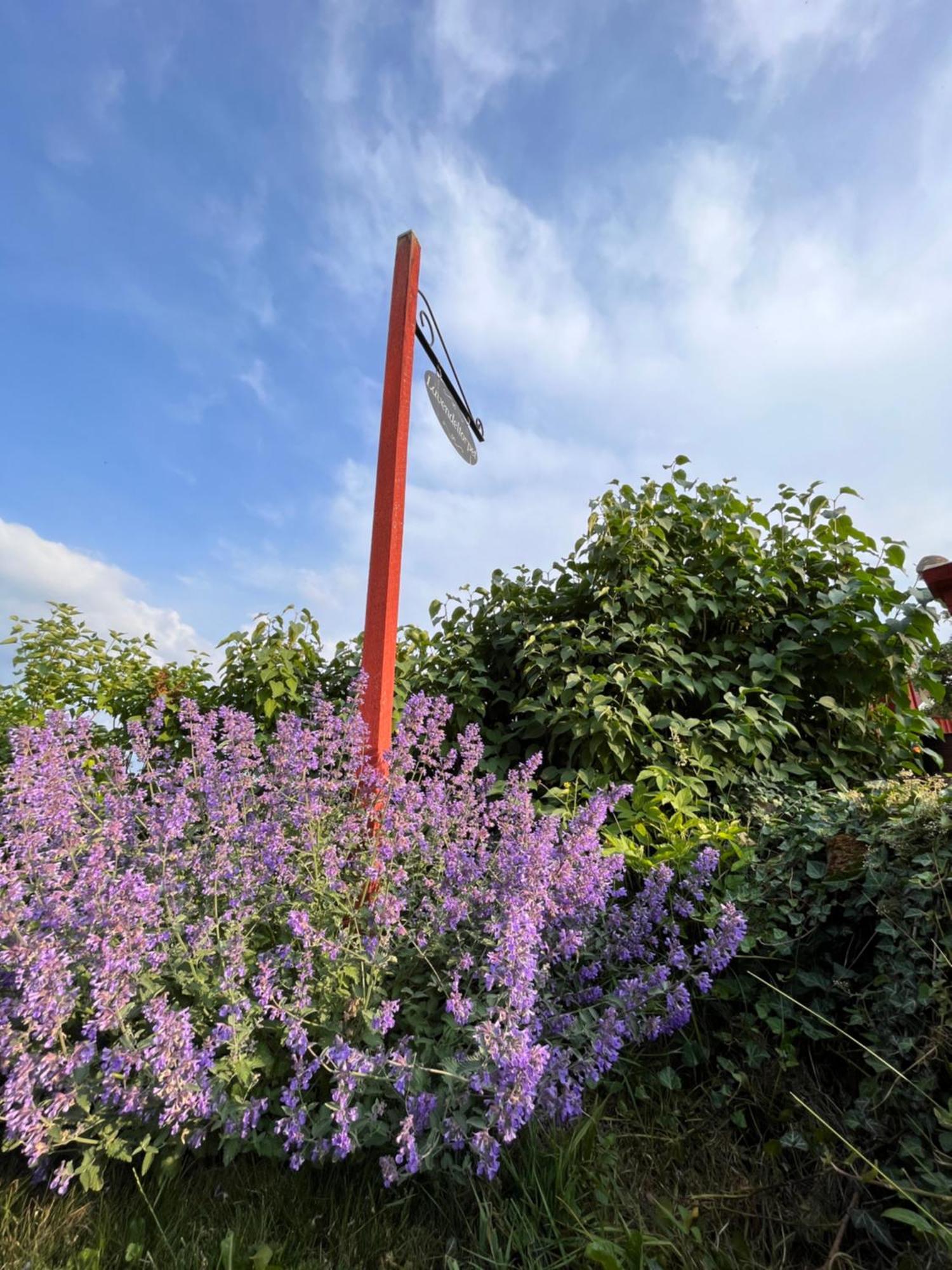 Lavendeltorpet Bed & Breakfast Haggum Dış mekan fotoğraf