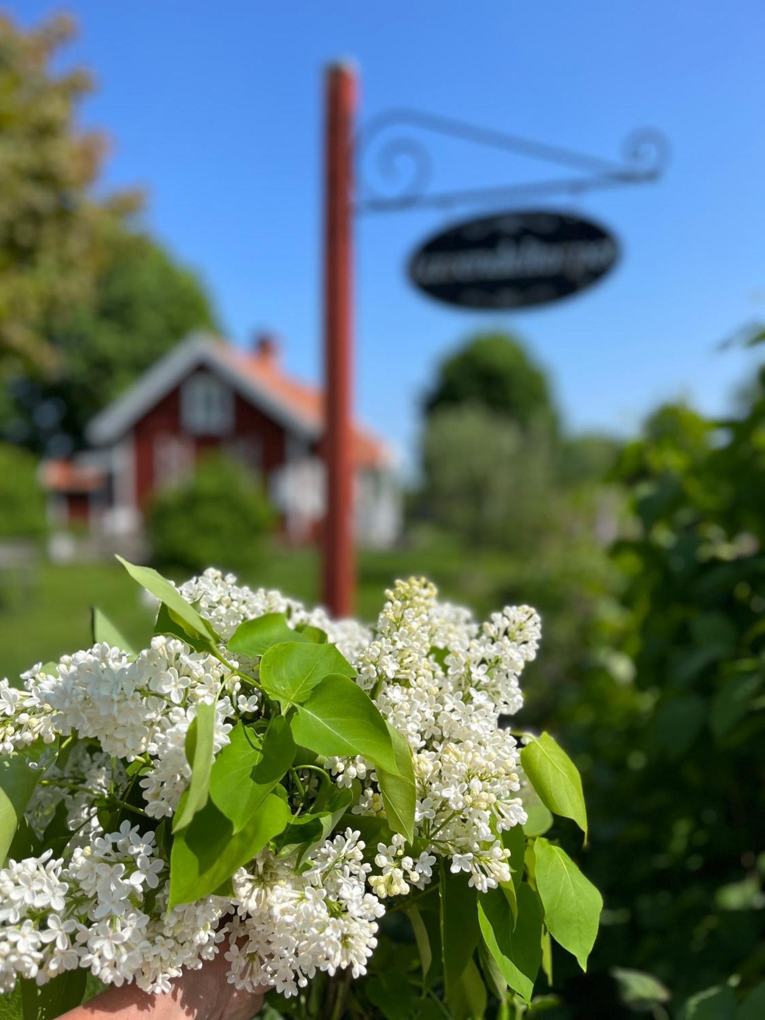 Lavendeltorpet Bed & Breakfast Haggum Dış mekan fotoğraf